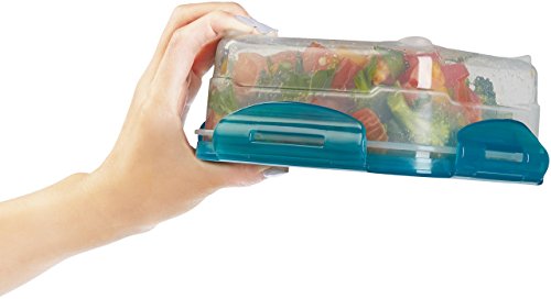 Amazon Basics Gefrierbehälter im Set, mit Deckel, luftdicht, auslaufsicher, stapelbar, für Kühlschrank/Gefriertruhe, BPA-frei, Kunststoff, mikrowellen- und spülmaschinenfest, 3 x 0.6 l, hellblau