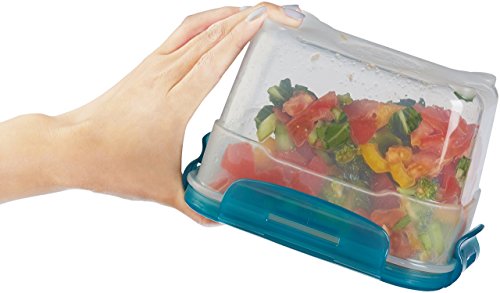 Amazon Basics Gefrierbehälter im Set, mit Deckel, luftdicht, auslaufsicher, stapelbar, für Kühlschrank/Gefriertruhe, BPA-frei, Kunststoff, mikrowellen- und spülmaschinenfest, 3 x 0.6 l, hellblau
