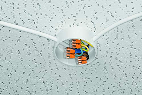 WAGO Verbindungsklemmen 221-413 | 3 Leiter, bis 4 mm², 50 Stück, COMPACT Kabelverbinder mit Hebel für alle Leiterarten weltweit, bestätigte Anwendungssicherheit