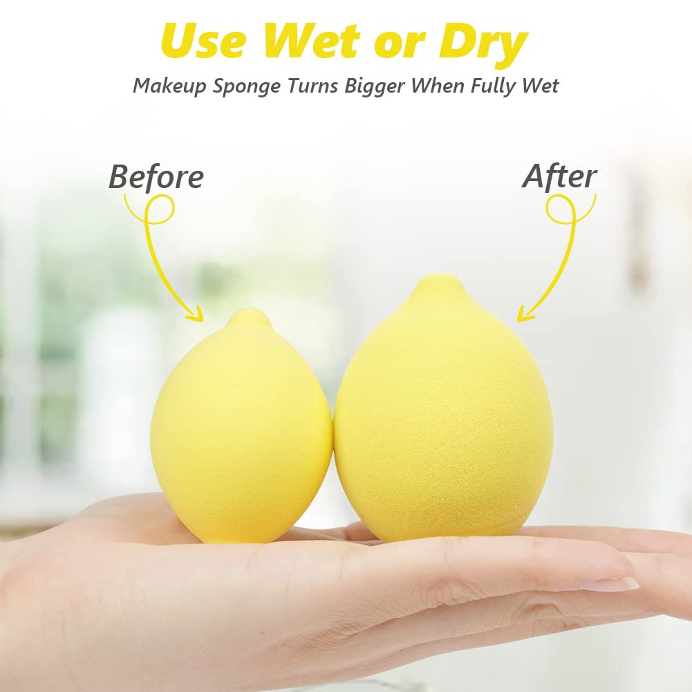 AUAUY 4 PCS Make up Schwamm Set, Foundation Blending Beauty Sponge, Beauty Makeup Schwämme Blender für Flüssigkeit Foundation Puder Sonnenschutz und Creme mit 1 Schwammhalter, 1 Puderquaste