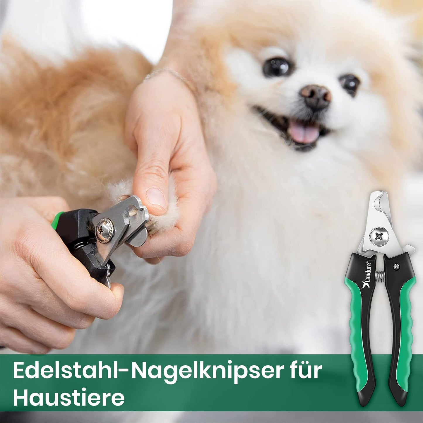 Candure Profi Krallenschere für Hunde und Katzen mit Nagelfeile Edelstahl Krallenzange Hohe Qualität Krallenpflege Schneider für Haustiere Nagelknipser groß Mit Sicherheitsschutz 6" Zoll