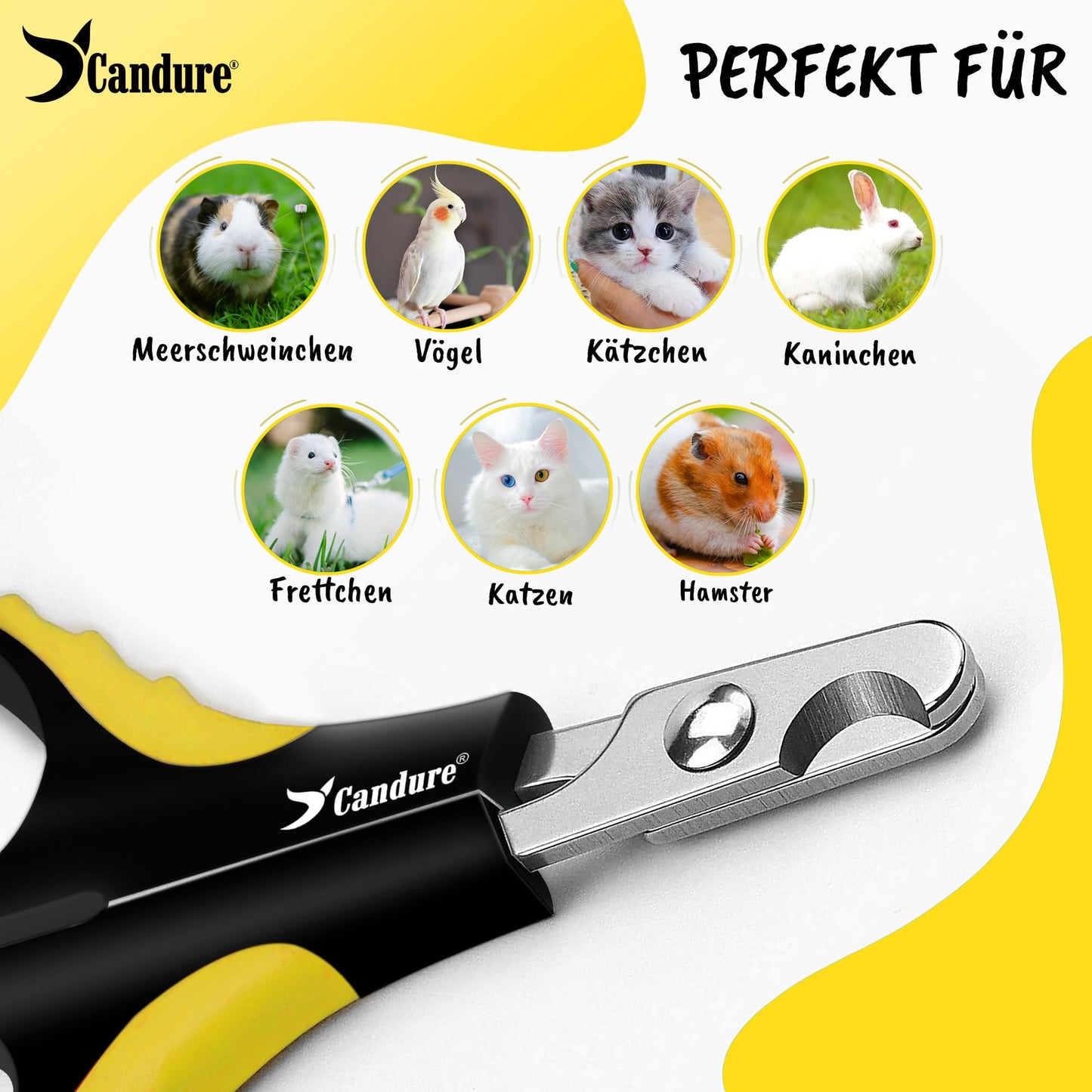 Candure Profi Krallenschere für Hunde und Katzen mit Nagelfeile Edelstahl Krallenzange Hohe Qualität Krallenpflege Schneider für Haustiere Nagelknipser groß Mit Sicherheitsschutz 6" Zoll