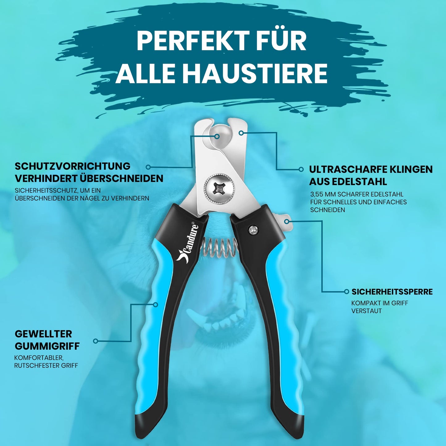 Candure Profi Krallenschere für Hunde und Katzen mit Nagelfeile Edelstahl Krallenzange Hohe Qualität Krallenpflege Schneider für Haustiere Nagelknipser groß Mit Sicherheitsschutz 6" Zoll