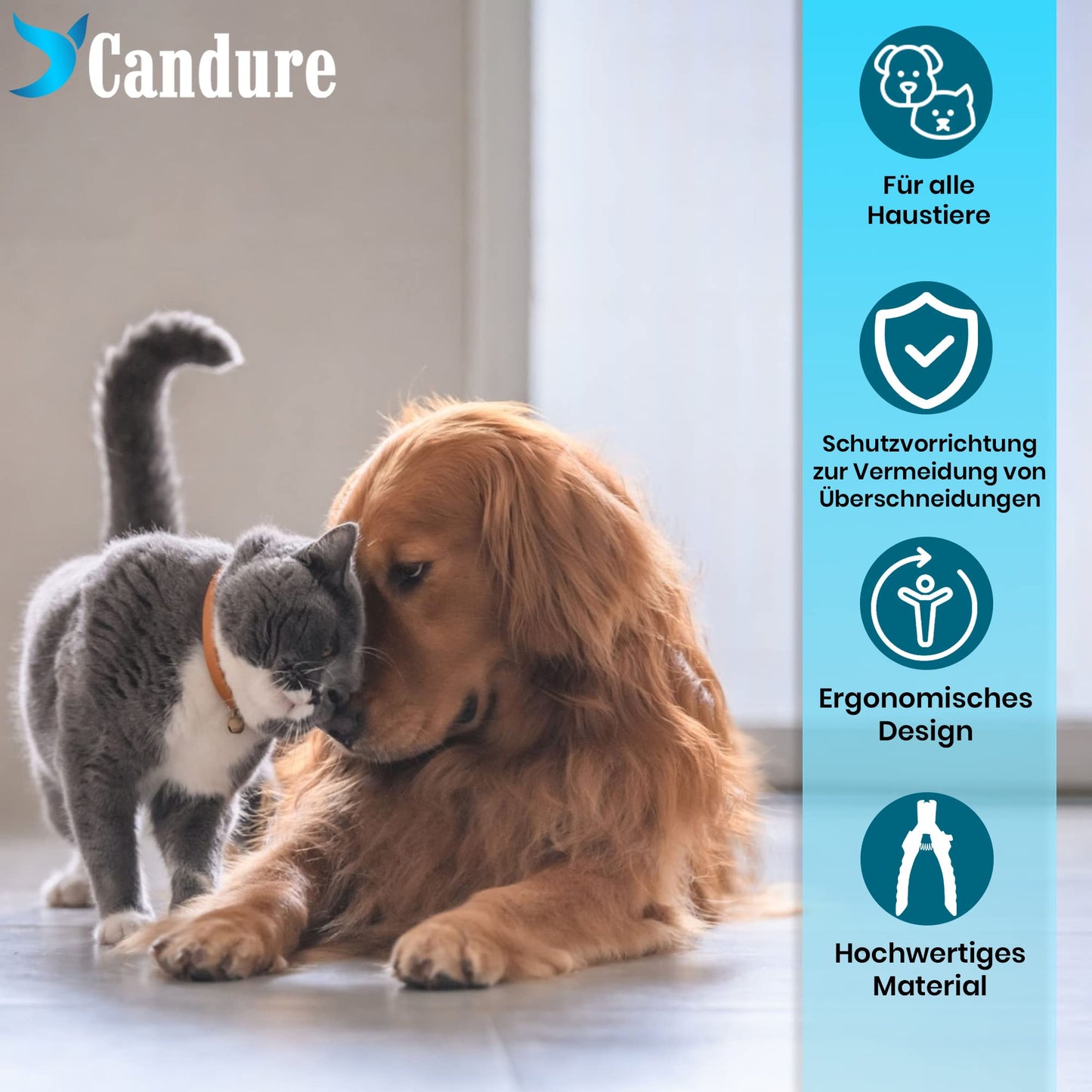 Candure Profi Krallenschere für Hunde und Katzen mit Nagelfeile Edelstahl Krallenzange Hohe Qualität Krallenpflege Schneider für Haustiere Nagelknipser groß Mit Sicherheitsschutz 6" Zoll