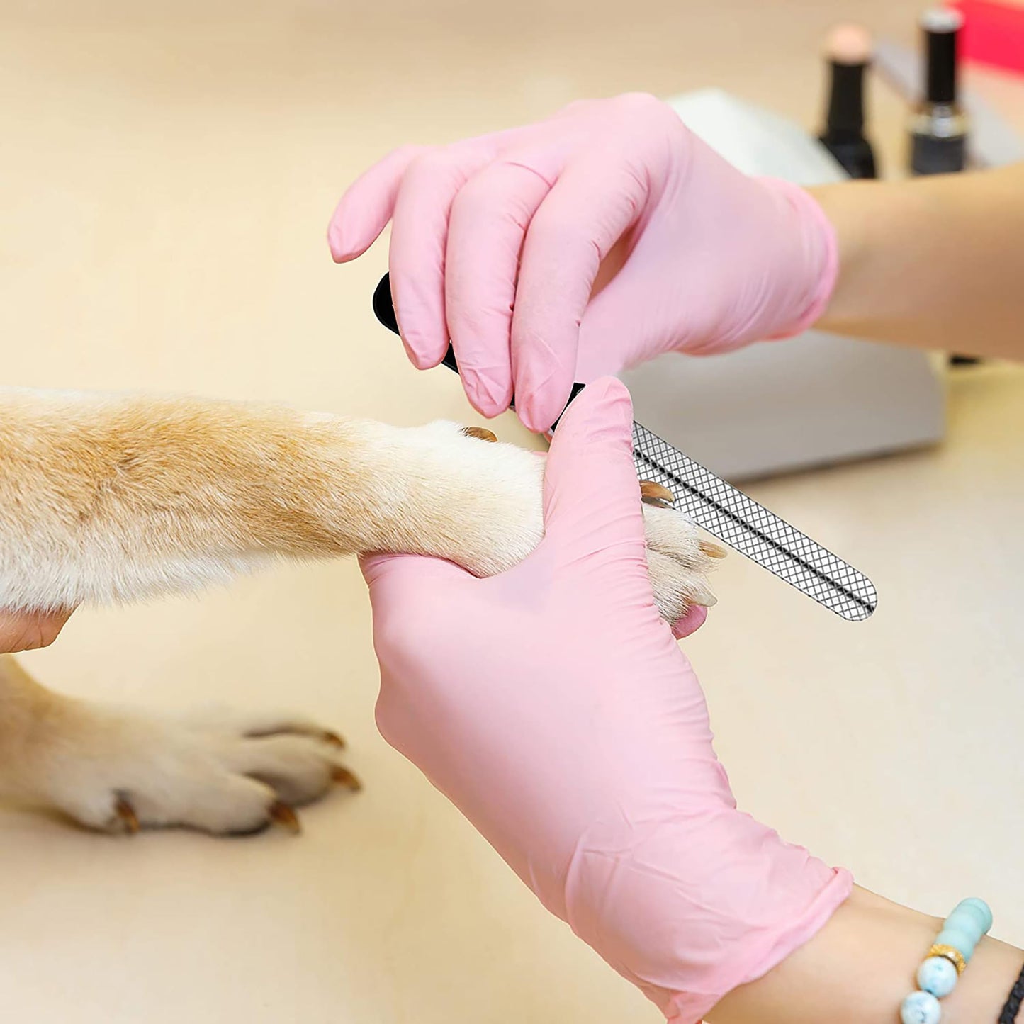 Candure Profi Krallenschere für Hunde und Katzen mit Nagelfeile Edelstahl Krallenzange Hohe Qualität Krallenpflege Schneider für Haustiere Nagelknipser groß Mit Sicherheitsschutz 6" Zoll