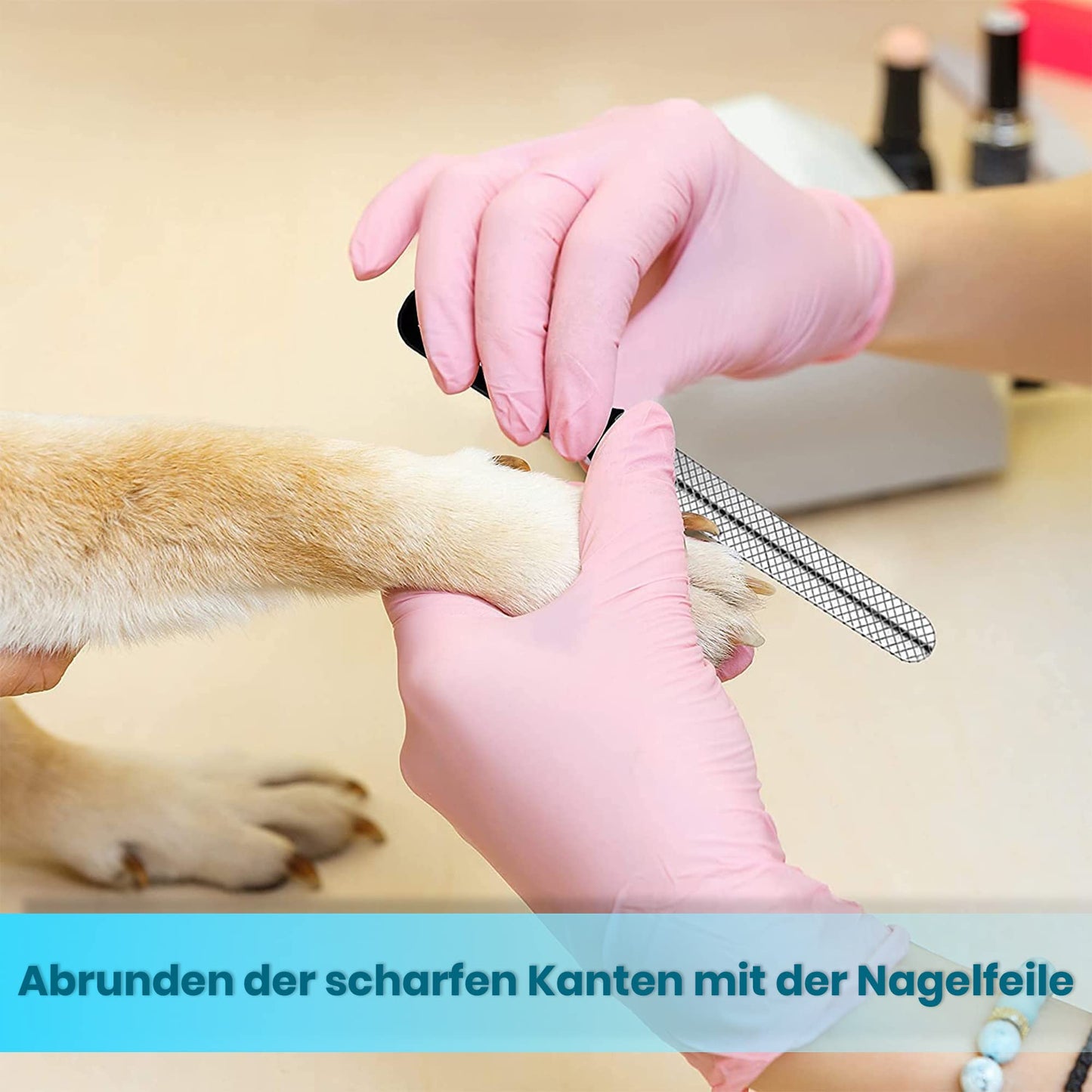 Candure Profi Krallenschere für Hunde und Katzen mit Nagelfeile Edelstahl Krallenzange Hohe Qualität Krallenpflege Schneider für Haustiere Nagelknipser groß Mit Sicherheitsschutz 6" Zoll
