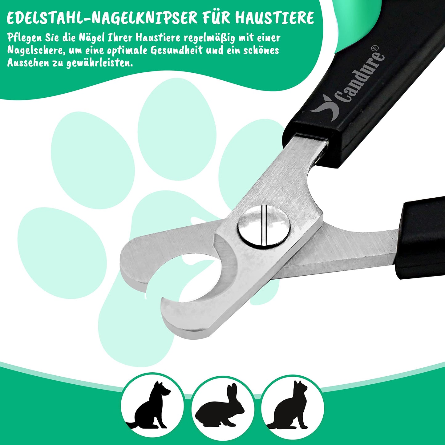 Candure Profi Krallenschere für Hunde und Katzen mit Nagelfeile Edelstahl Krallenzange Hohe Qualität Krallenpflege Schneider für Haustiere Nagelknipser groß Mit Sicherheitsschutz 6" Zoll