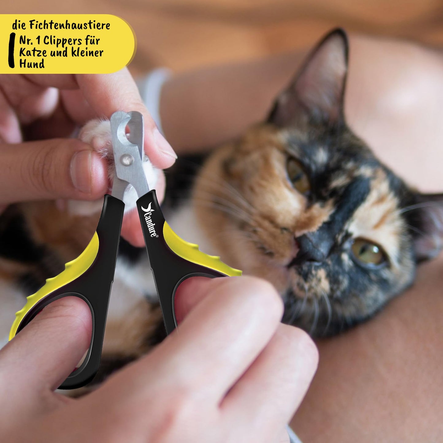 Candure Profi Krallenschere für Hunde und Katzen mit Nagelfeile Edelstahl Krallenzange Hohe Qualität Krallenpflege Schneider für Haustiere Nagelknipser groß Mit Sicherheitsschutz 6" Zoll