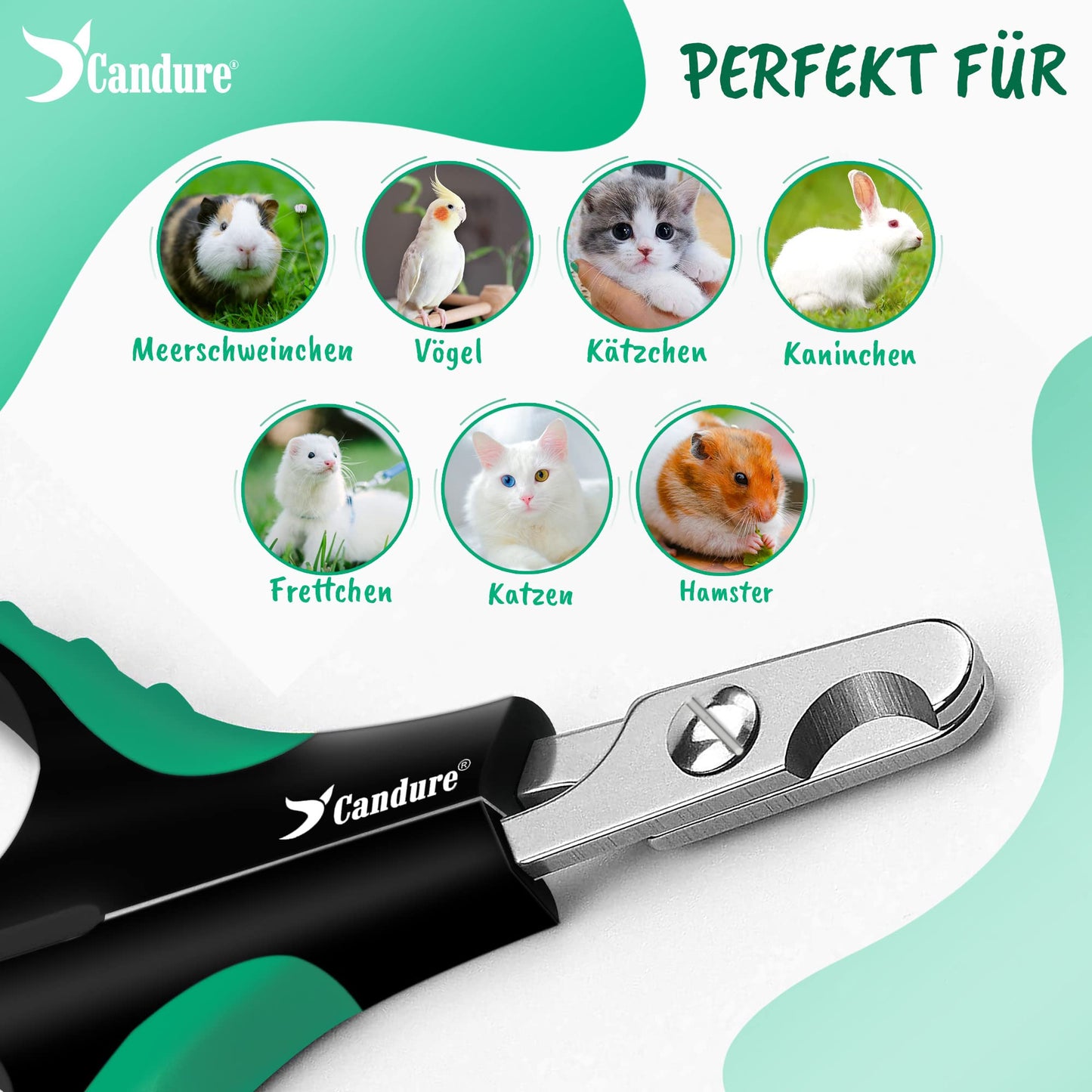 Candure Profi Krallenschere für Hunde und Katzen mit Nagelfeile Edelstahl Krallenzange Hohe Qualität Krallenpflege Schneider für Haustiere Nagelknipser groß Mit Sicherheitsschutz 6" Zoll
