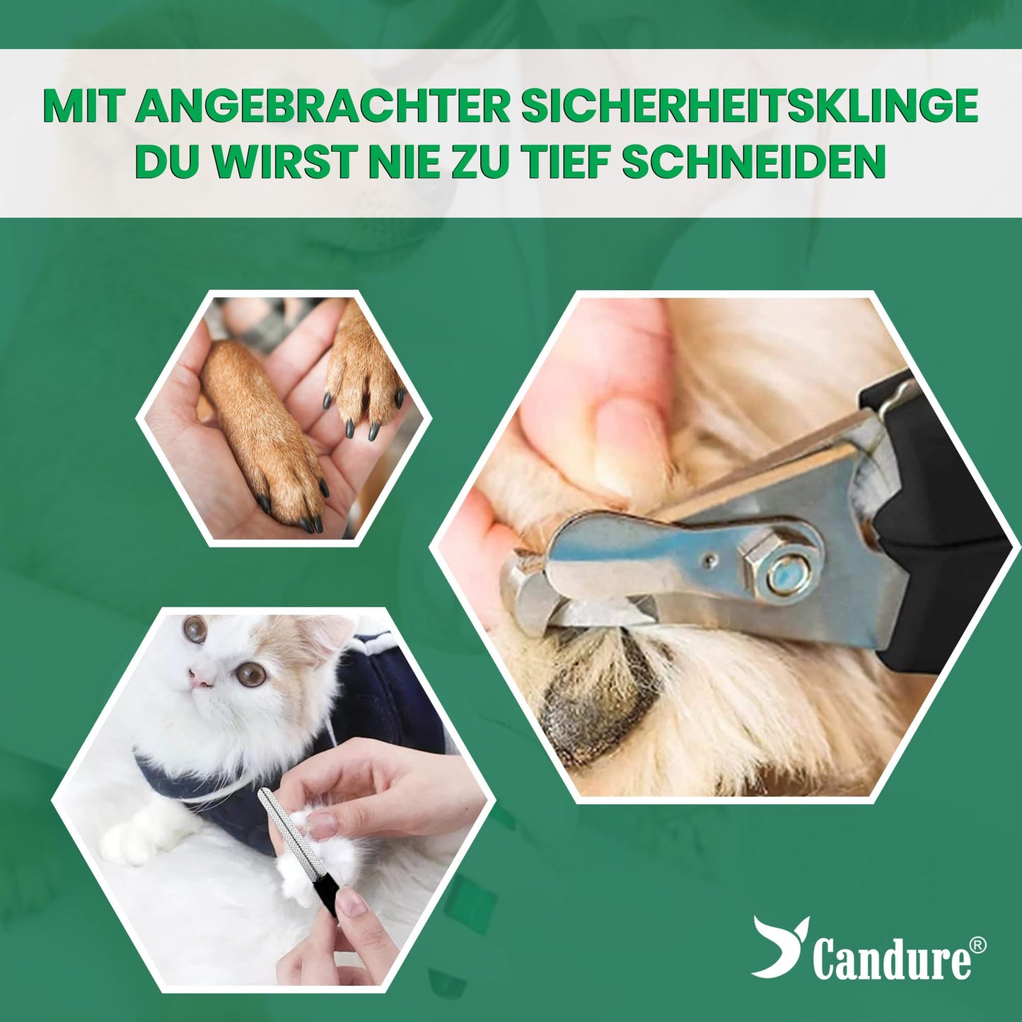 Candure Profi Krallenschere für Hunde und Katzen mit Nagelfeile Edelstahl Krallenzange Hohe Qualität Krallenpflege Schneider für Haustiere Nagelknipser groß Mit Sicherheitsschutz 6" Zoll