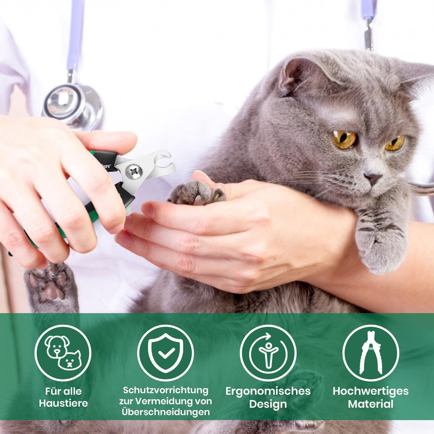 Candure Profi Krallenschere für Hunde und Katzen mit Nagelfeile Edelstahl Krallenzange Hohe Qualität Krallenpflege Schneider für Haustiere Nagelknipser groß Mit Sicherheitsschutz 6" Zoll
