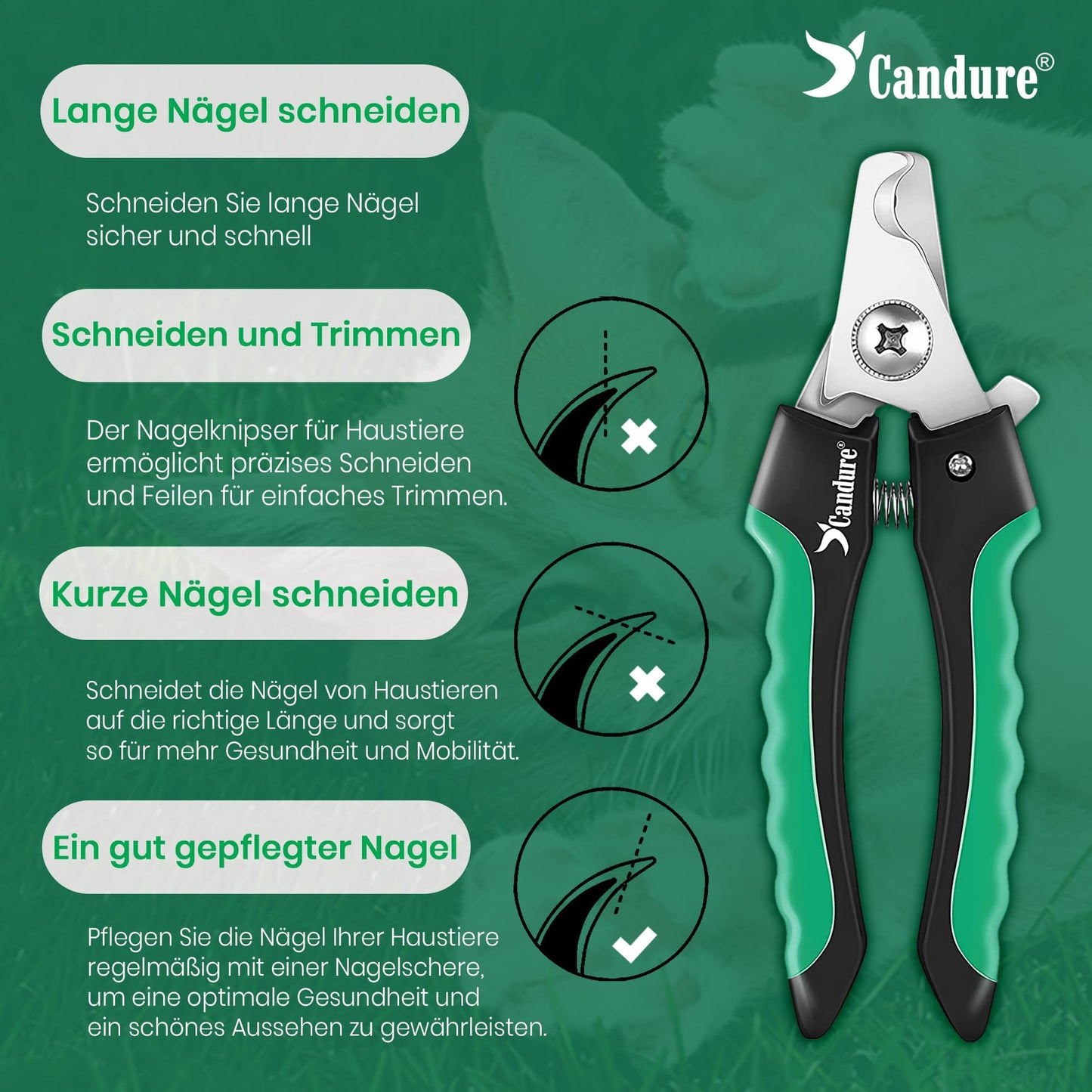 Candure Profi Krallenschere für Hunde und Katzen mit Nagelfeile Edelstahl Krallenzange Hohe Qualität Krallenpflege Schneider für Haustiere Nagelknipser groß Mit Sicherheitsschutz 6" Zoll