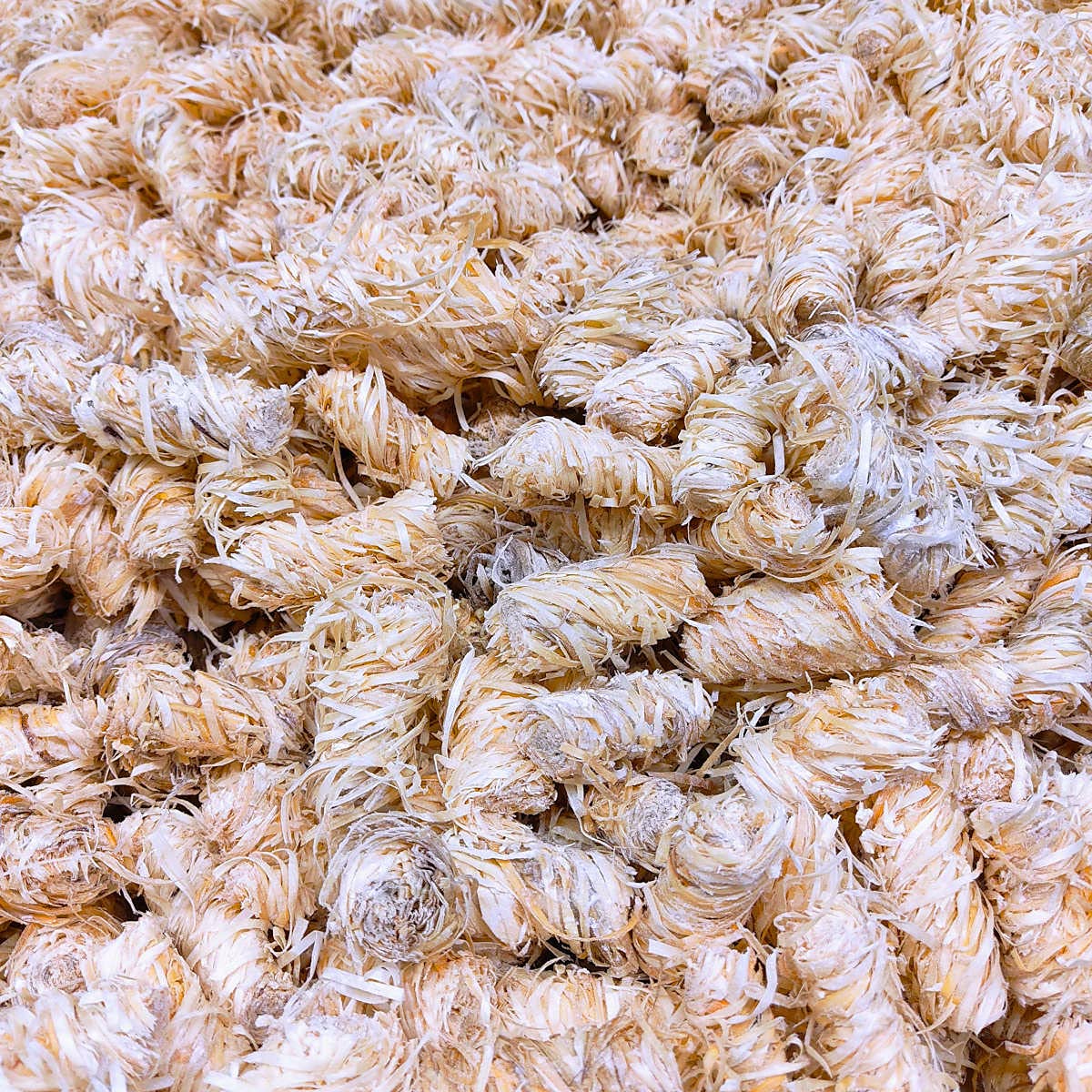 Fabrikverkauf® Eco Lighting Wool (5 kg) Approx. 400 Pieces, Also as (3 kg + 10 kg), Ecological Barbecue Lighter, Fireplace Lighter, Oven Lighter, Wood Wool, Lighter (5 kg)