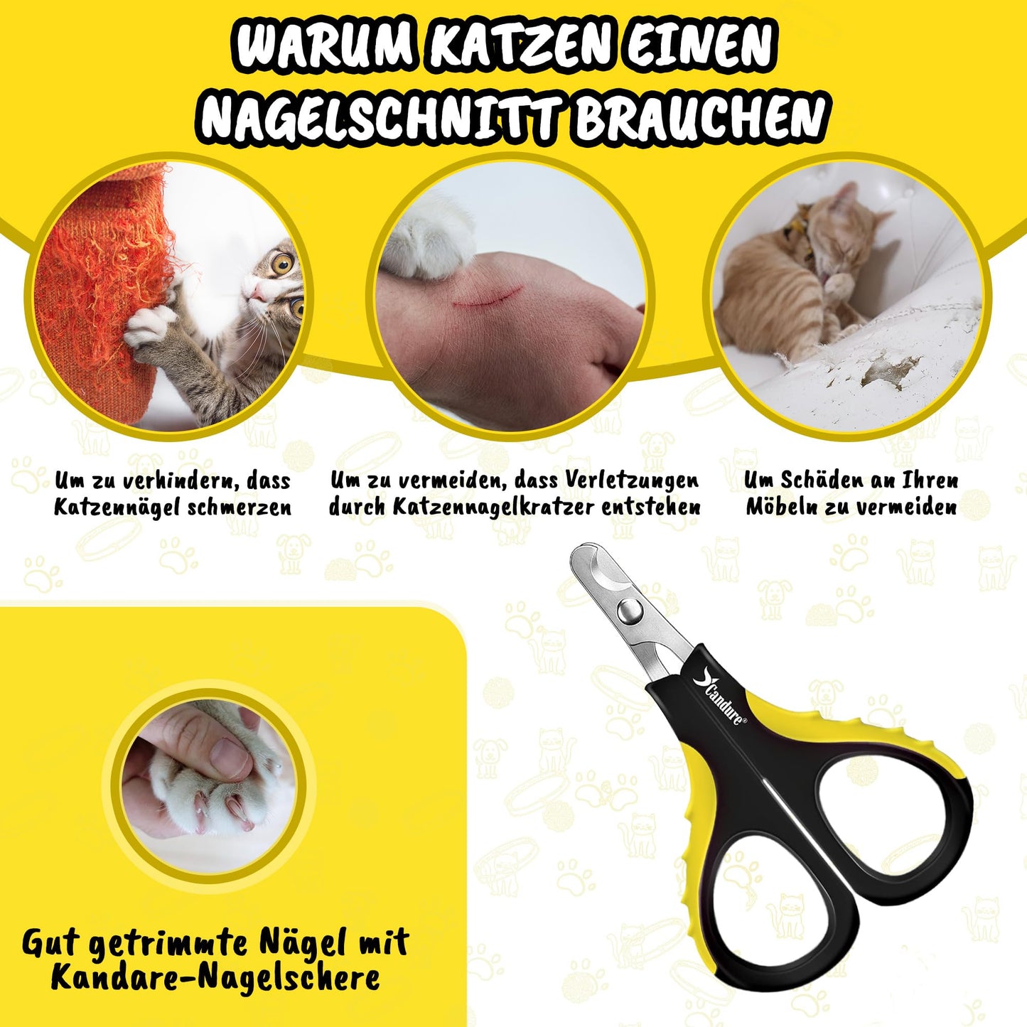 Candure Profi Krallenschere für Hunde und Katzen mit Nagelfeile Edelstahl Krallenzange Hohe Qualität Krallenpflege Schneider für Haustiere Nagelknipser groß Mit Sicherheitsschutz 6" Zoll
