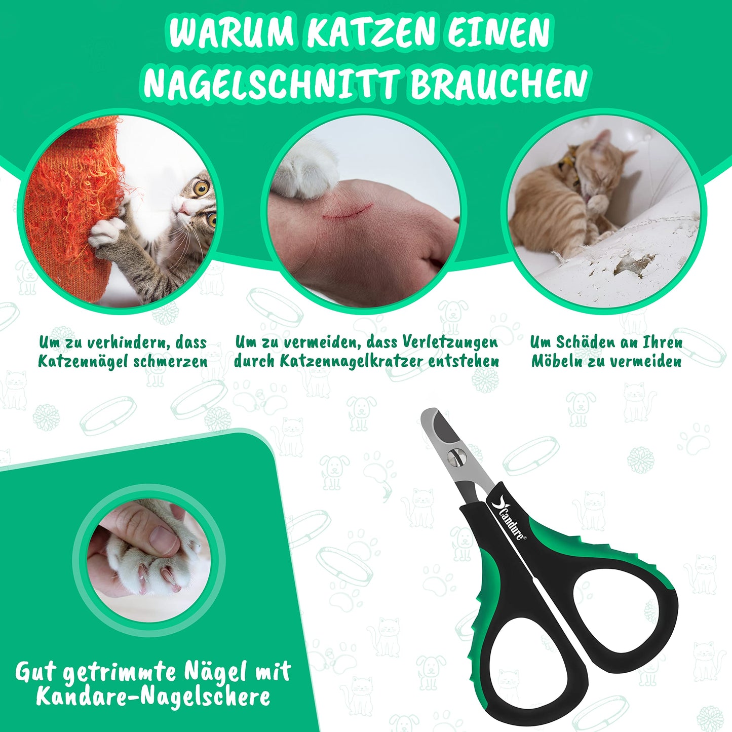 Candure Profi Krallenschere für Hunde und Katzen mit Nagelfeile Edelstahl Krallenzange Hohe Qualität Krallenpflege Schneider für Haustiere Nagelknipser groß Mit Sicherheitsschutz 6" Zoll