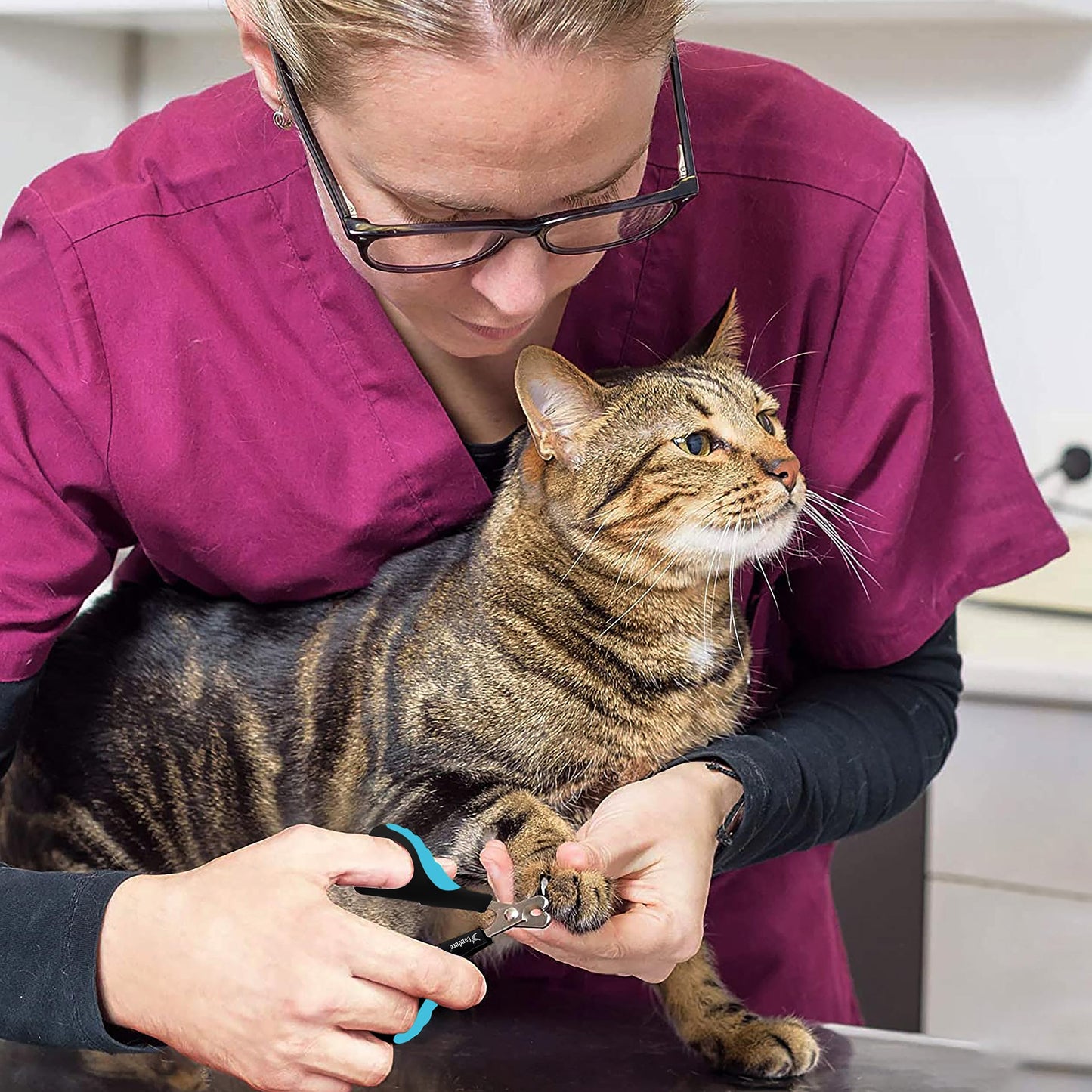 Candure Profi Krallenschere für Hunde und Katzen mit Nagelfeile Edelstahl Krallenzange Hohe Qualität Krallenpflege Schneider für Haustiere Nagelknipser groß Mit Sicherheitsschutz 6" Zoll