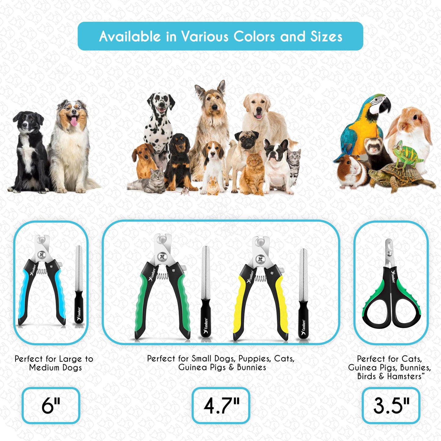 Candure Profi Krallenschere für Hunde und Katzen mit Nagelfeile Edelstahl Krallenzange Hohe Qualität Krallenpflege Schneider für Haustiere Nagelknipser groß Mit Sicherheitsschutz 6" Zoll