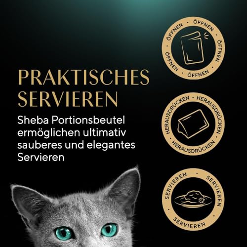 Sheba Katzennassfutter Selection in Sauce, 40 Portionsbeutel, 40x85g (1 Großpackung) – Katzenfutter nass, Geflügel Variation mit Ente, Huhn, Geflügel und Truthahn