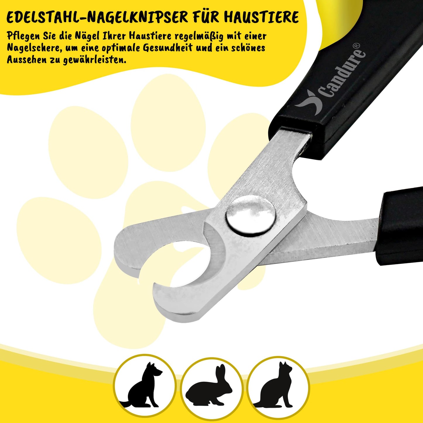 Candure Profi Krallenschere für Hunde und Katzen mit Nagelfeile Edelstahl Krallenzange Hohe Qualität Krallenpflege Schneider für Haustiere Nagelknipser groß Mit Sicherheitsschutz 6" Zoll