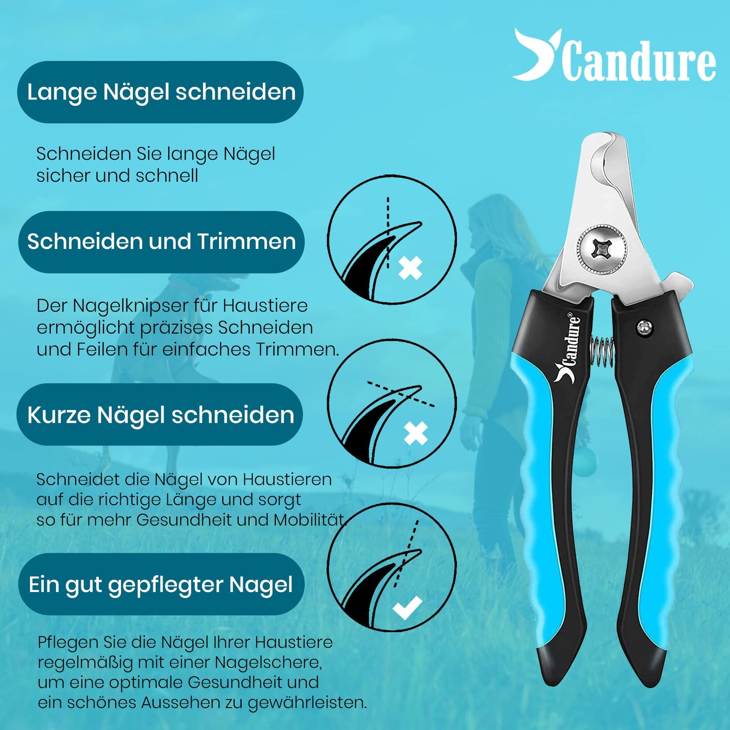 Candure Profi Krallenschere für Hunde und Katzen mit Nagelfeile Edelstahl Krallenzange Hohe Qualität Krallenpflege Schneider für Haustiere Nagelknipser groß Mit Sicherheitsschutz 6" Zoll