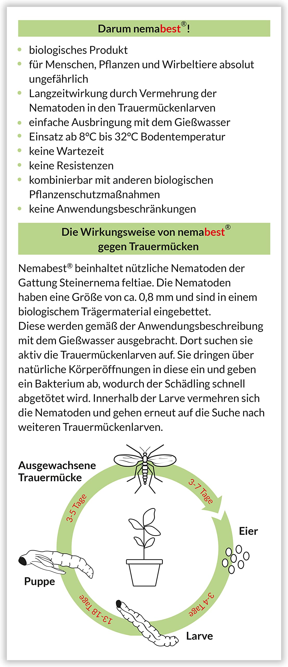 nemabest® SF Nematoden 6 Mio. (60 Pflanzen/12m²) gegen Trauermücken